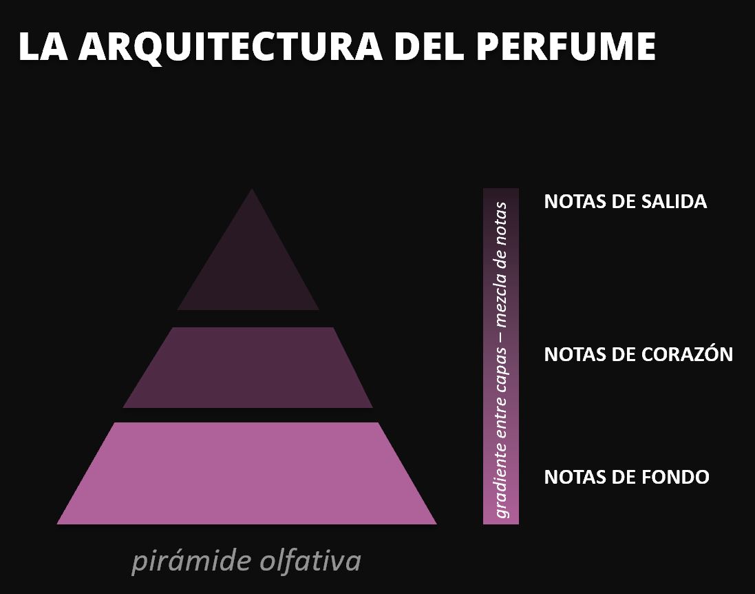 proyecto Eurofragance. arquitectura del perfume